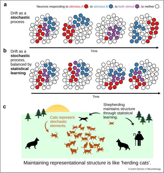 Representational drift as a stochastic process, with and without statistical learning; maintaining representational structure is like herding cats
